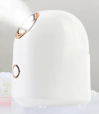 Glow Mist Beauty Steamer