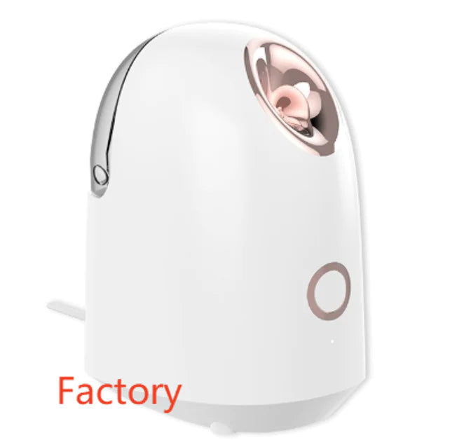 Glow Mist Beauty Steamer